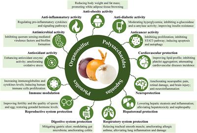 Frontiers Recent Advances in Bioactive Compounds Health